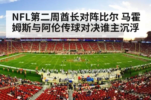 nfl stadium crowd